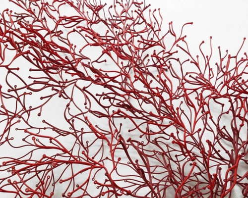 Vitra algue architectural - vitra, mesh